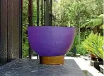  ?? JANE USSHER/STUFF ?? This large sculptural bowl in ultra-violet makes a bold statement in a green landscape.