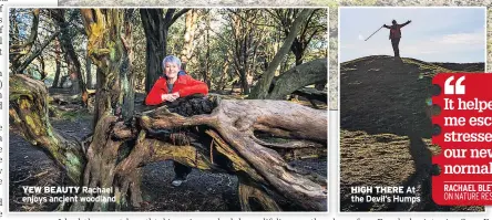  ??  ?? YEW BEAUTY Rachael enjoys ancient woodland
HIGH THERE At the Devil’s Humps