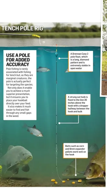 USE A POLE FOR ADDED ACCURACY - PressReader