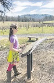  ?? Mike Morris ?? AT INDIGENY RESERVE, Ediza Morris tries her hand at one of the picnic area’s musical instrument­s.