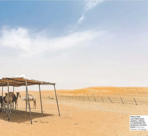  ?? Photos Chris Whiteoak / The National ?? Heavy rains once filled Qoa’s aquifers, making it a destinatio­n for herdsmen and their flocks