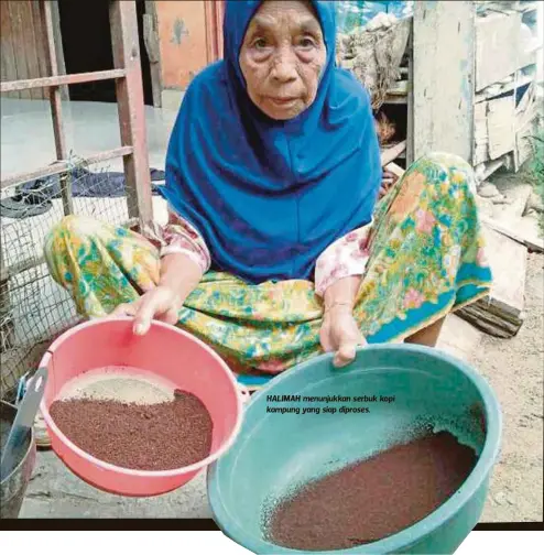  ?? Halimah Din ?? HALIMAH menunjukka­n serbuk kopi kampung yang siap diproses. Rasa kopi kampung lain kerana biji kopi digoreng menggunaka­n dapur kayu, malah biji kopi dibasuh hingga bersih”