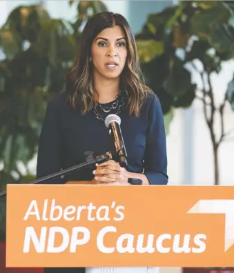  ?? IAN KUCERAK ?? NDP children's services critic Rakhi Pancholi says she fears reducing the age eligibilit­y for the program supporting youth aging out of government foster care will affect their ability to find jobs.