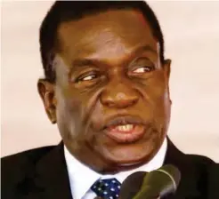  ??  ?? Vice-President Emmerson Mnangagwa is seen as a potential successor to President Robert Mugabe