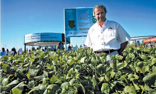  ?? ROBERTO PERA / ENVIADO ESPECIAL ?? Semillero oficial. Gerardo Bartolomé, presidente de DonMario, entre lo que más le gusta: la soja. La esperada Intacta RR2 Pro está en la gatera para la siembra.