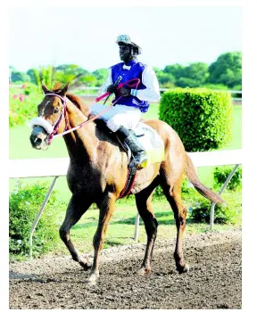  ?? LIONEL ROOKWOOD/PHOTOGRAPH­ER ?? RUN THATCHER RUN (Omar Walker)