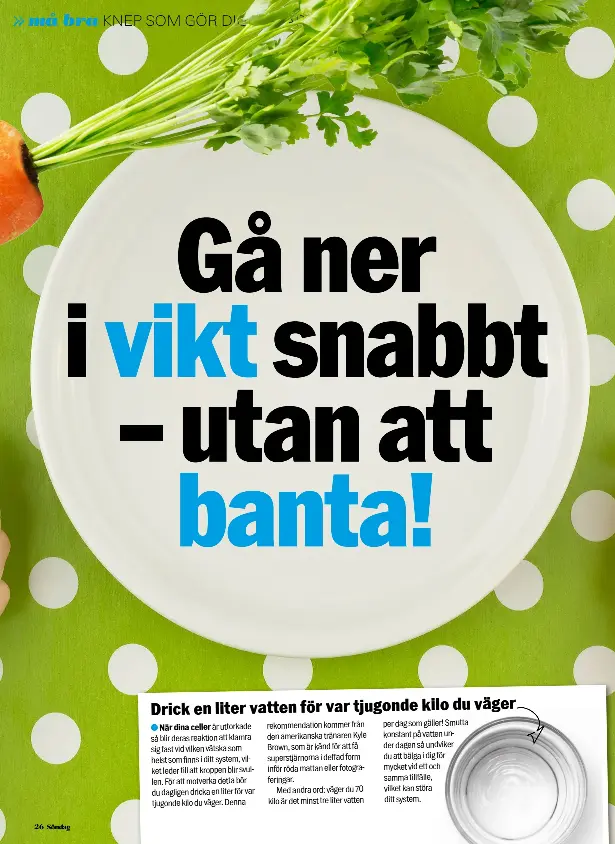 Gå Ner I Vikt App