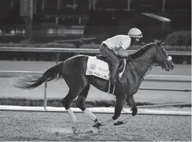  ?? CUMMINGS] ?? Kentucky Derby entry Tiz the Law runs during a workout at Churchill Downs on Friday in Louisville, Ky. The Kentucky Derby is scheduled for Saturday. [AP PHOTO/DARRON