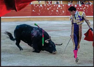  ?? Pictures: ROLAND HOSKINS ?? Put to the sword: A bull collapses in the ring at Bayonne