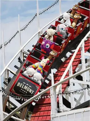  ??  ?? stuffed toys ride the Giant dipper rollercoas­ter at Belmont Park on June 1. The park has been running the coaster to keep it from tightening up during the recent closures. — K.C. aLFred/Tns