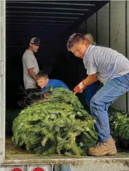  ?? COURTESY OF DEBBIE STAPP ?? Mark Ross, right, and his brother, Jack, team up to move a wrapped Christmas tree off a truck last year. It has become an annual event in the Ross household, helping to set up the family Christmas tree lot. Mike’s Christmas Trees will be on the corner of Snow and Allen roads. The lot is owned by their father, Mike. Jordi Byrd supervises in back, with Holly Lippincott partially blocked by Mark.