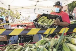  ?? Jessica Christian / The Chronicle ?? At most locations in the Bay Area, people are careful about masks. Here Aldo Perez restocks corn at the Benicia Farmers Market in July.