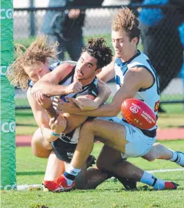  ?? Picture: ANDREW HENSHAW ?? PIE IN THE SANDWICH: Geelong's Campbell Floyd and Harrison Kol lay a double tackle yesterday.