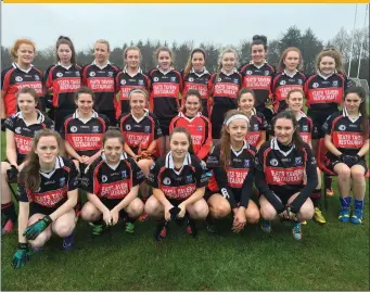  ??  ?? The Drumcliffe/Rosses Point ladies footballer­s who reached the intermedia­te championsh­ip final last Sunday hanks to an extra-time win away to Tourlestra­ne in their semi-final.