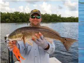  ??  ?? Estero Bay was designated Florida’s first aquatic preserve in 1966.