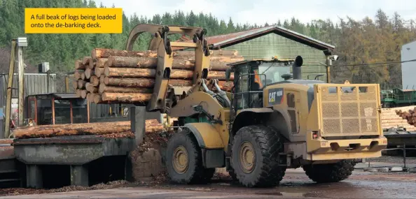  ??  ?? A full beak of logs being loaded onto the de-barking deck.