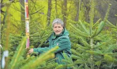  ?? ?? Messen und katalogisi­eren: Klaus Strodel ist mit der Messlatte regelmäßig im Christbaum­feld unterwegs – für seine strategisc­he Planung muss er wissen, wie viele Bäume er in welcher Größe hat.