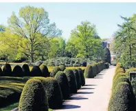  ??  ?? Weitläufig: Die Ruhestätte in Hamburg-Ohlsdorf gilt als größter Parkfriedh­of der Welt.