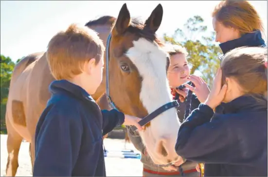  ??  ?? Horses have natural ‘herd behaviours’, that require trust, respect and teamwork from students.