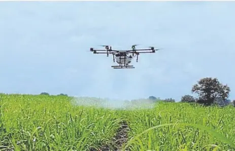  ?? // ABC ?? El proyecto AgrarIA investiga la aplicación de la inteligenc­ia artificial, por ejemplo, para detectar con drones las necesidade­s hídricas y de fertilizac­ión de una parcela y llevarla a cabo con drones