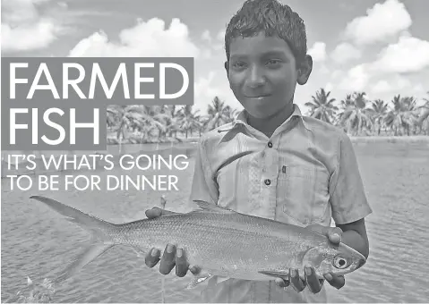  ?? WORLD FISH CENTER ?? A boy in India holds a milkfish, which has been grown in fish ponds in Asia for centuries. The system is ecological­ly friendly.