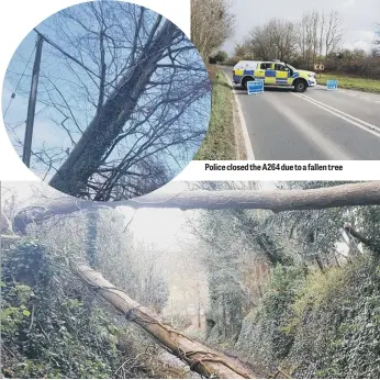  ??  ?? Police closed the A264 due to a fallen tree Annington Road near Steyning was blocked by a fallen tree. All photos (unless specified) by Horsham Police