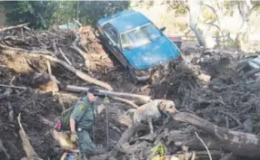  ?? Frederic J. Brown, AFP/Getty Images ?? A member of a search-and-rescue team and his dog sift through debris looking for victims on a property in Montecito, Calif., on Friday.