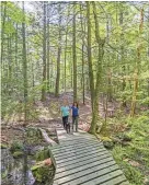  ?? ?? A community forest with public trails is the goal of a joint project by Exeter, Newfields, and two conservati­on groups to acquire 148 acres of private land.