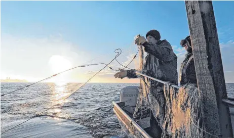  ?? FOTO: FELIX KÄSTLE ?? Die Fischer auf der bayerische­n Seite fürchten um den Seefrieden.