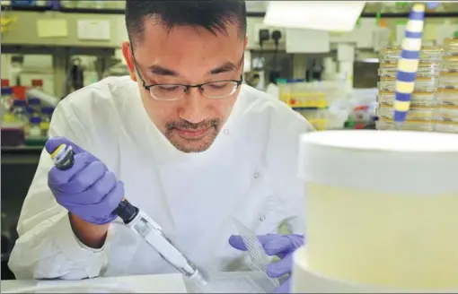  ?? PHOTOS BY CALVIN NG / CHINA DAILY ?? Richard Kao Yi-tsun, associate professor at the Department of Microbiolo­gy at the University of Hong Kong, discovered a non-antibiotic compound that may beat MRSA. emerged in 1940 staphyloco­ccus