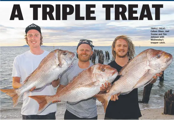  ??  ?? TRIPLE TREAT: Callum Olsen, Joel Trezise and Tim Johnson with Wednesday’s snapper catch.