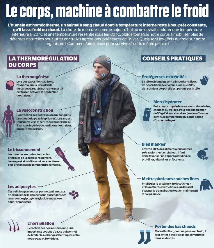 Le corps, machine à combattre le froid PressReader — free download