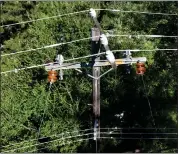  ?? JANE TYSKA — STAFF PHOTOGRAPH­ER ?? Trees encroach on PG&E power lines along Moraga Road near Tanglewood Drive in Moraga on Wednesday. When branches fall on lines, new technology shuts off the power.