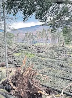  ?? ?? DEVASTATIO­N: Storm Arwen damage in Glenisla.