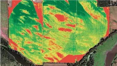  ??  ?? ’n Voorbeeld van ’n NDVI-beeld kleurkodes wat beter en swakker kolle uitwys. wat die groeikragi­ndeks aandui met