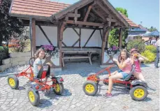  ?? FOTO: KARL MÄGERLE ?? Auch die Kinder haben an diesem Tag ihre besondere Freude beim Ringgenbac­her Dorfplatzh­äuschen.