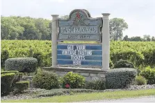  ?? NICK BRANCACCIO ?? The Mastronard­i Estate Winery in Kingsville has been making wines since 2006, but only recently decided to experiment more.