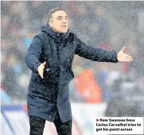  ??  ?? > New Swansea boss Carlos Carvalhal tries to get his point across