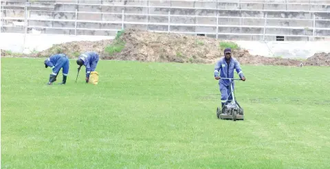  ?? ?? Groundsmen work on the new turf at Sakubva Stadium