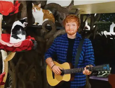  ??  ?? Ed Sheeran befindet sich mit der Tierwelt in Konflikt