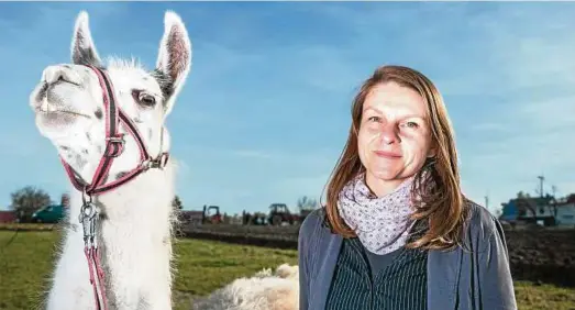  ??  ?? Alina Kroll und Lama Max in Herbsleben auf einer Wiese vor dem Garten der Familie. Fotos: Arnd Hartmann ()