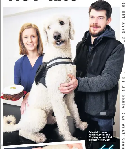  ??  ?? Quinn with owner Alistair Kendall and Westway Vets clinical director Helen Clark