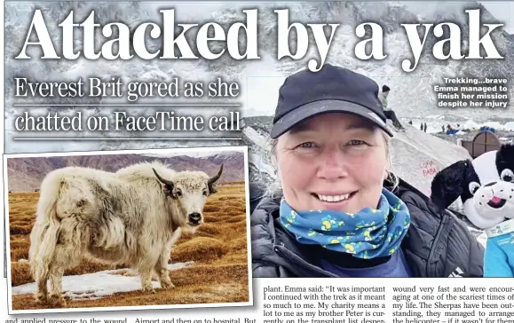  ?? Picture: WALES NEWS SERVICE ?? Trekking...brave Emma managed to finish her mission despite her injury