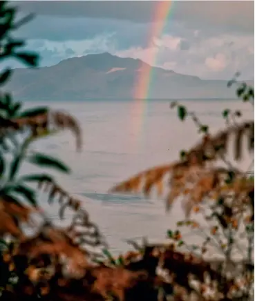  ??  ?? Far left: Mishnish Lochs, Isle of Mull, taken during a cold spell when the lochs had frozen over. Left: Rainbow over the Sound of Mull, taken from Aros Park, Tobermory. Below: Springtime in Pollock Park, Glasgow.