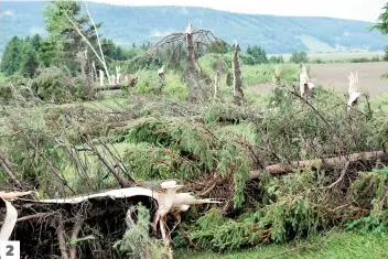  ??  ?? 2
1. Stéphane Racine (à l’avant-plan), le frère du propriétai­re de la maison détruite à Hébertvill­e. 2. Des arbres ont été endommagés à Hébertvill­e.
3. Des débris jonchaient la route.