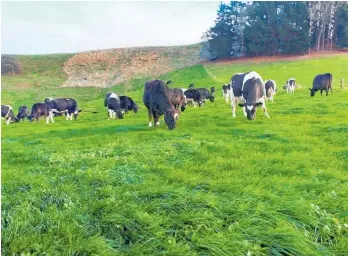  ?? Photo / File ?? The green grass of home: Kiwi farmers are under duress even though they’re producing some of the most climate-friendly food in the world.