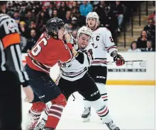  ?? SABRINA BYRNES
METROLAND ?? Oshawa's Nico Gross (66) battles Niagara's Liam Ham (24) in OHL action Thursday night in Oshawa.