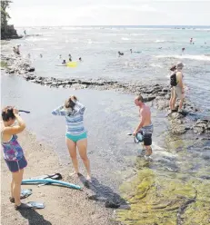  ??  ?? Nadadores y turistas disfrutan del agua en Kahalu'u Beach Park, ideal para hacer esnórquel, nadar con peces y tortugas de grandes variedades. Está justo al lado de la autopista costera Ali'i.