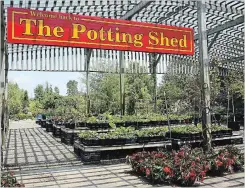  ??  ?? The Potting Shed became a destinatio­n for avid gardeners when it opened in Cayuga 26 years ago.