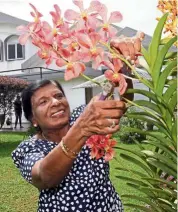  ?? — Photos: Filepic ?? doing some gardening is a good way to get sufficient vitamin d through sunlight, which is lacking in many older folk.